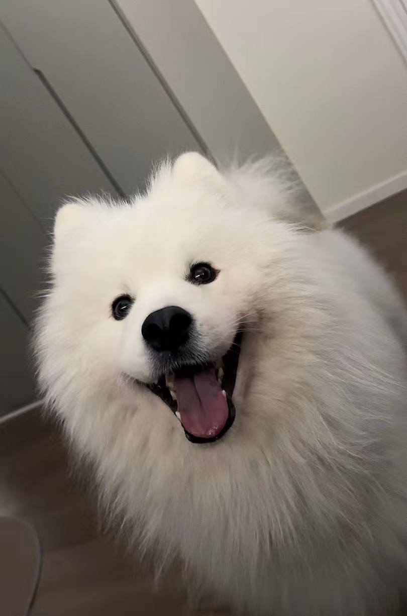 右侧装饰